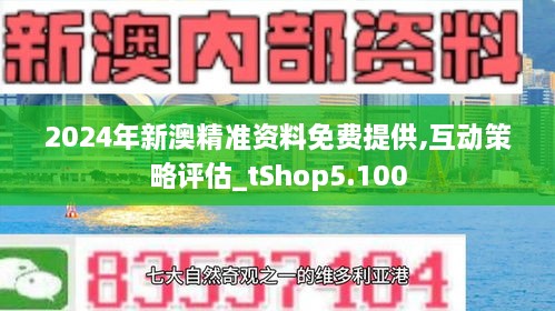 2024新澳精准正版资料,准确资料解释落实