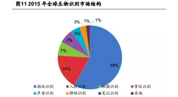 最新网名趋势与选择，走进2019的独特视角