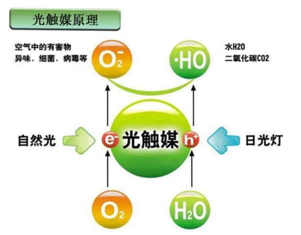 最新免疫情况，探索前沿科技与生命健康的融合