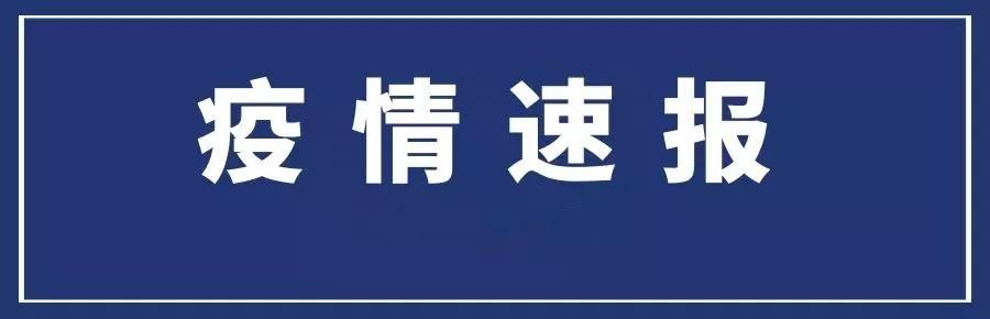 陕西省最新肺炎病例分析，全面解读与应对策略